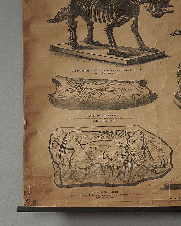 19. Yüzyıl Sorbonne Üniversitesi Paleontoloji Eğitim Tablosu